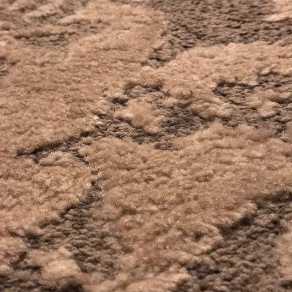 Meet your Posher, Ryanskye